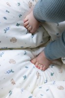 Little Pea_Cam Cam | Υπνόσακος 0-6 μηνών | Blueberries 1